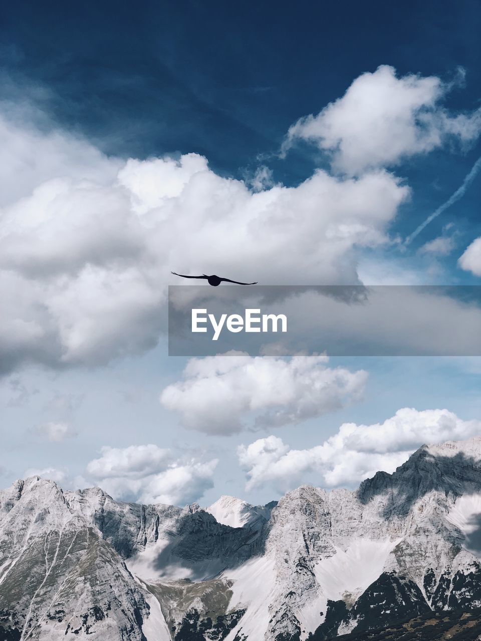 Bird flying over snowcapped mountain against cloudy sky