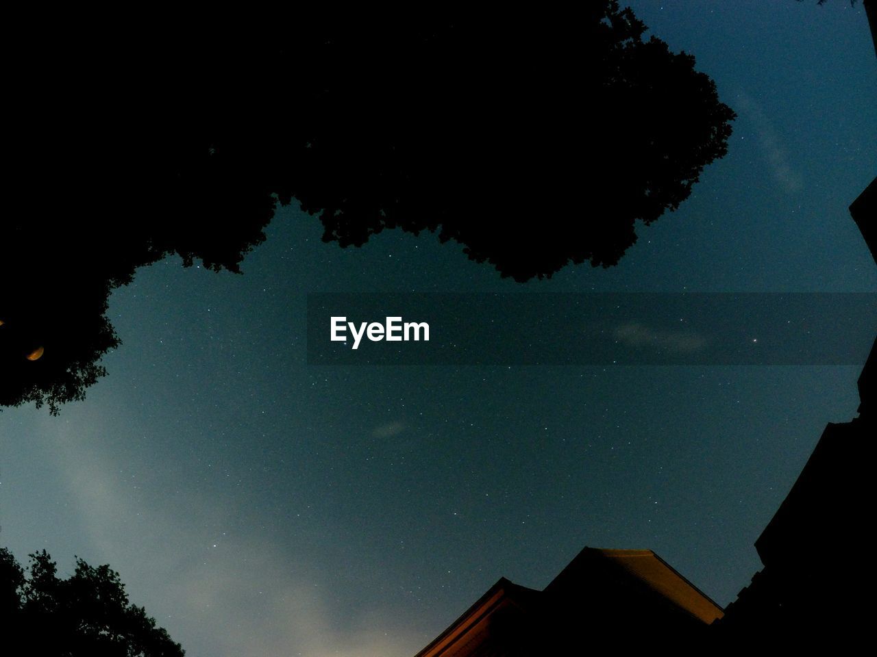 Directly below view of silhouette trees against constellation in sky