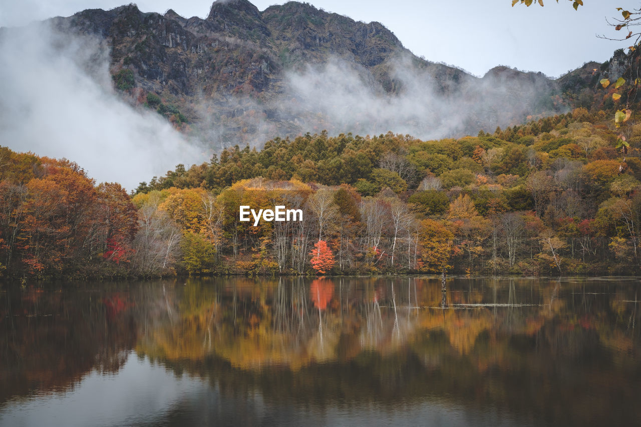 Scenic view of lake by trees during autumn