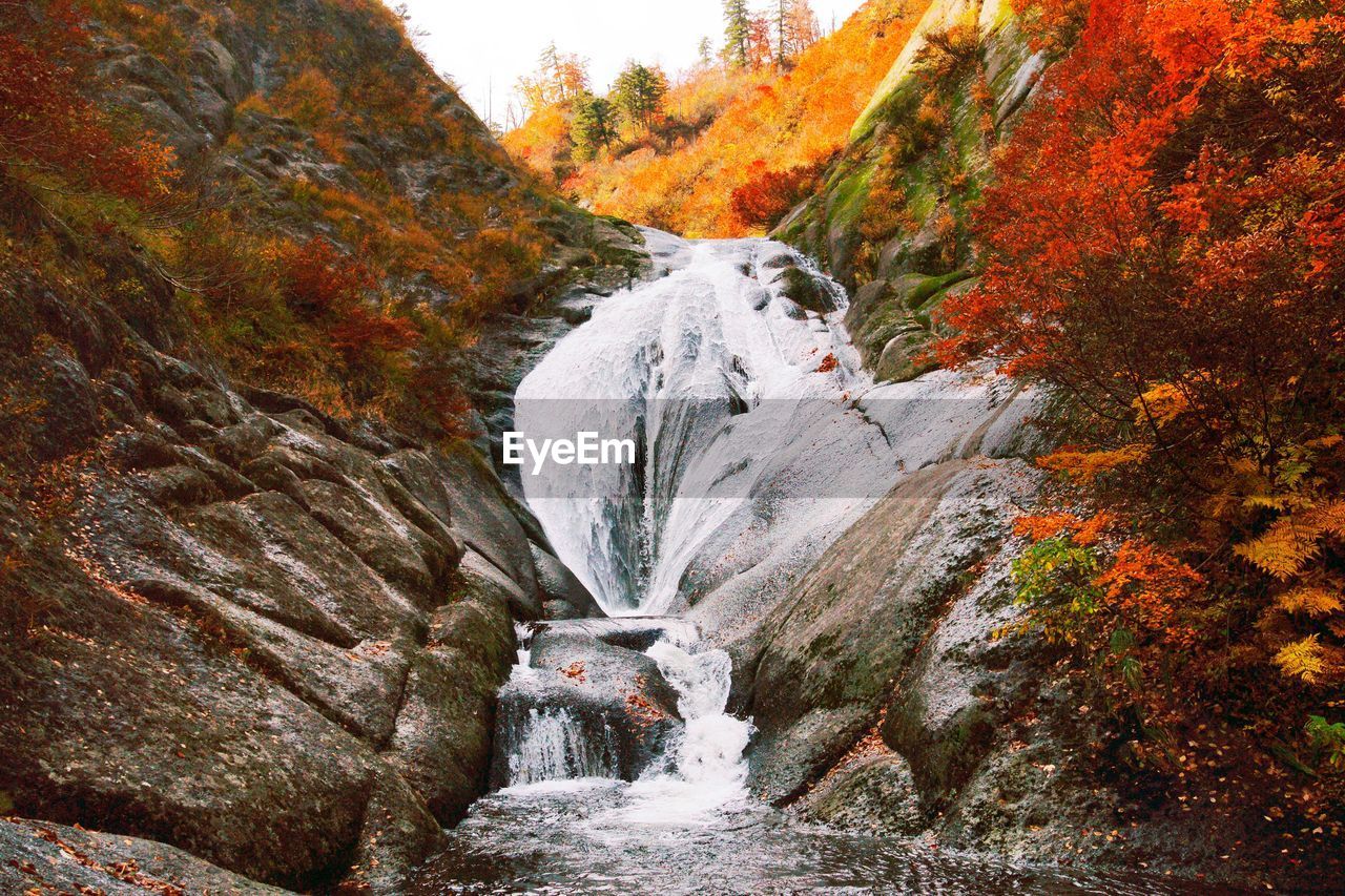 Stream flowing through rocks in forest during autumn