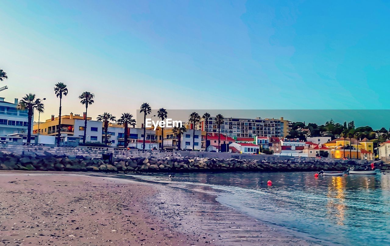 BUILDINGS BY PALM TREES AGAINST SKY