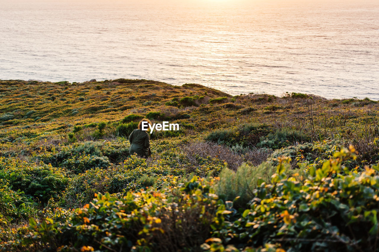 Women amidst plants with beach in background