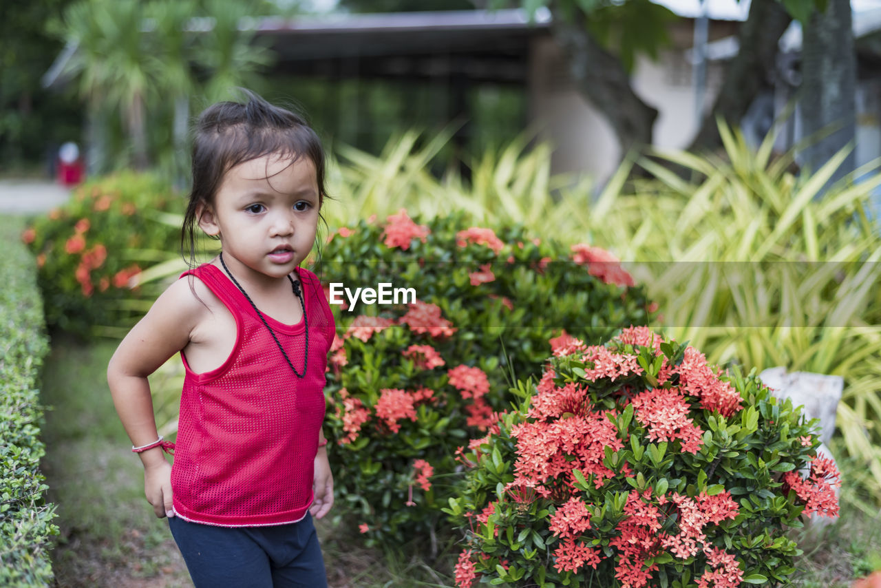 portrait of cute girl standing amidst plants