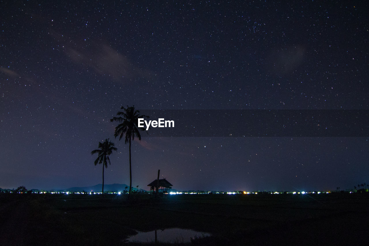 Silhouette palm trees against sky at night