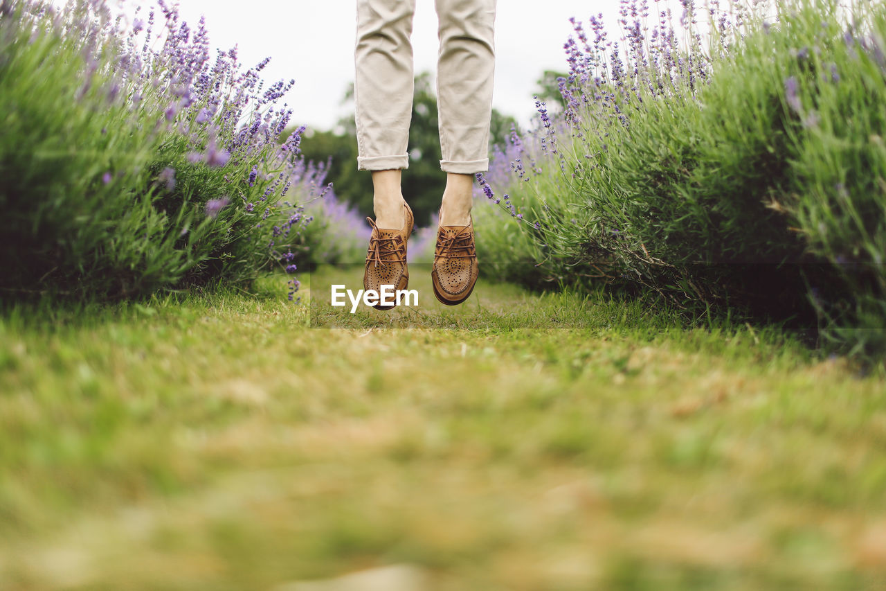 Low section of a person jumping between lavender rows 