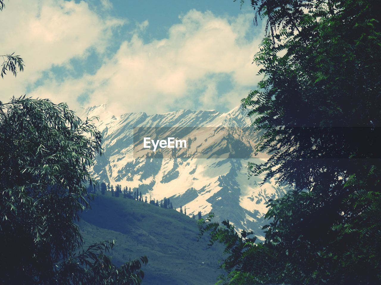 SCENIC VIEW OF TREES AND MOUNTAINS AGAINST SKY