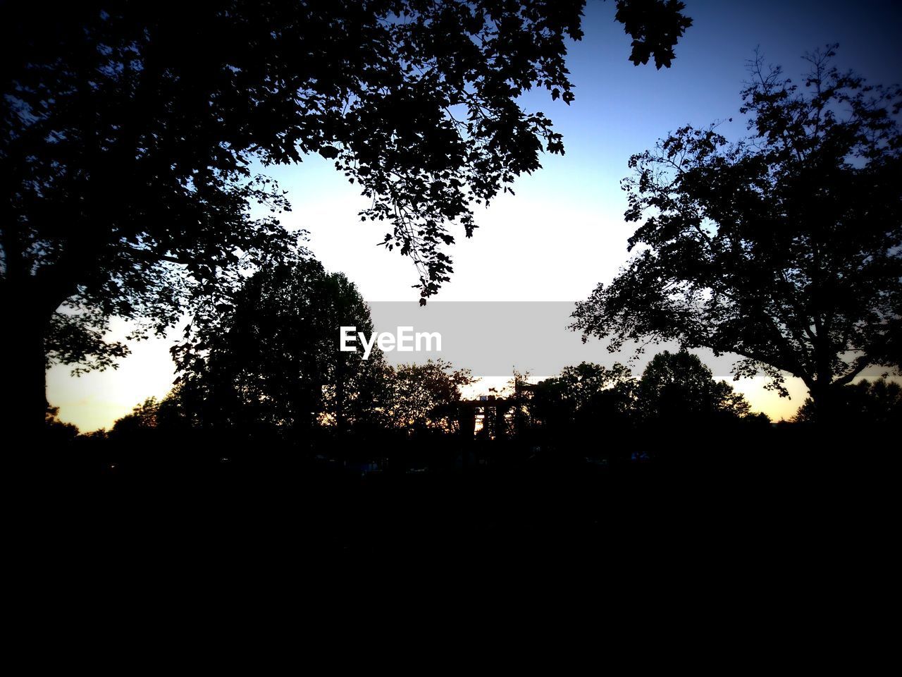 SILHOUETTE TREES ON FIELD AGAINST SKY AT SUNSET