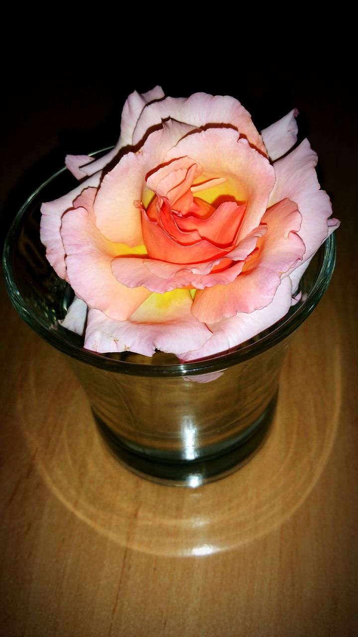 CLOSE-UP OF PASTRY ON TABLE