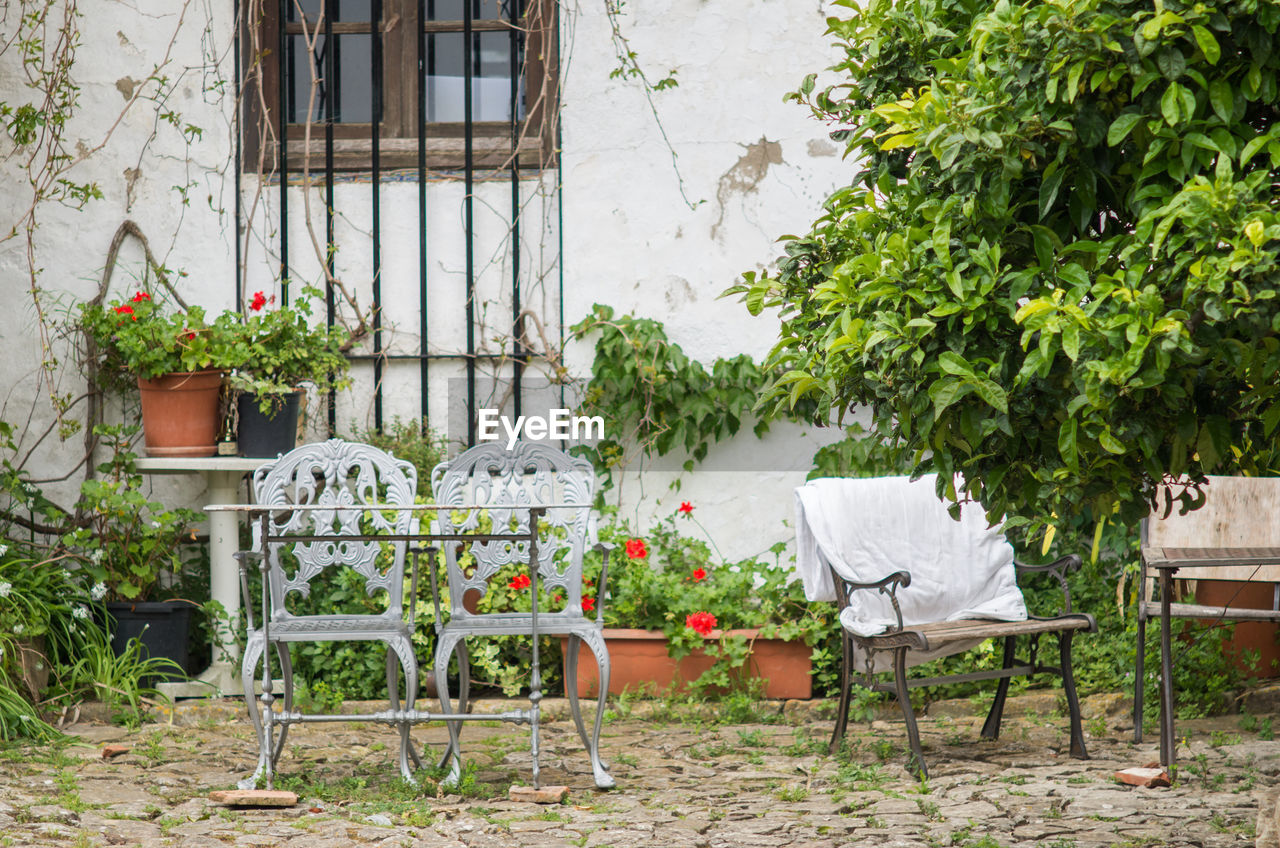 Empty chairs and plants at backyard of house