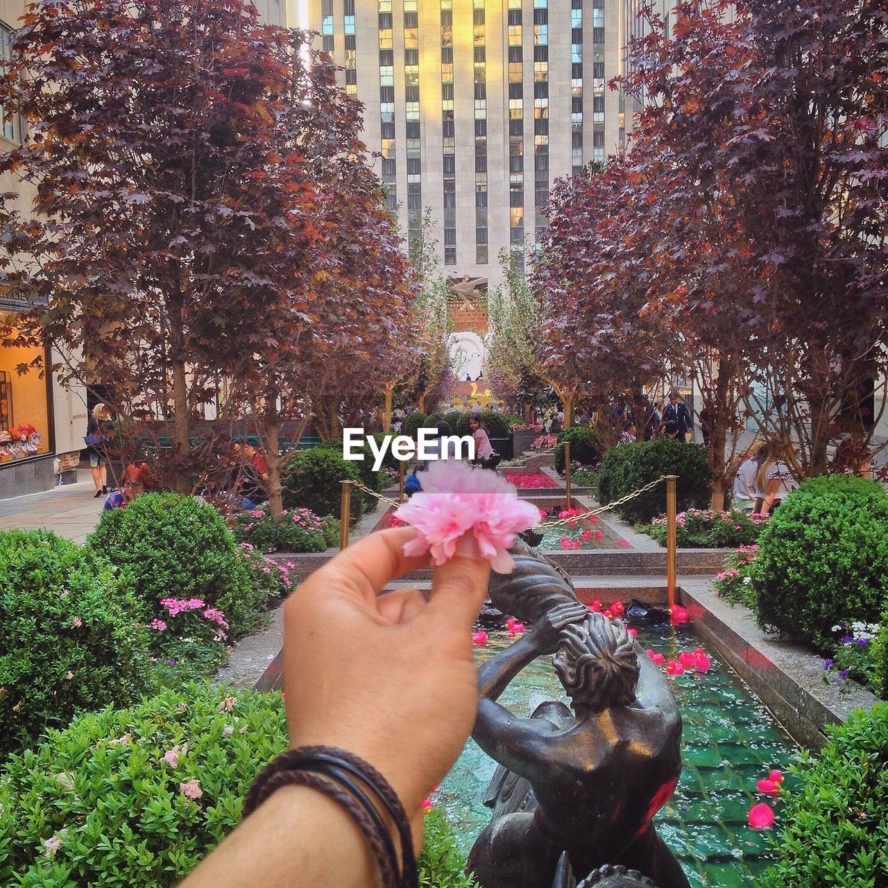 Cropped hand holding flower over statue amidst trees against building