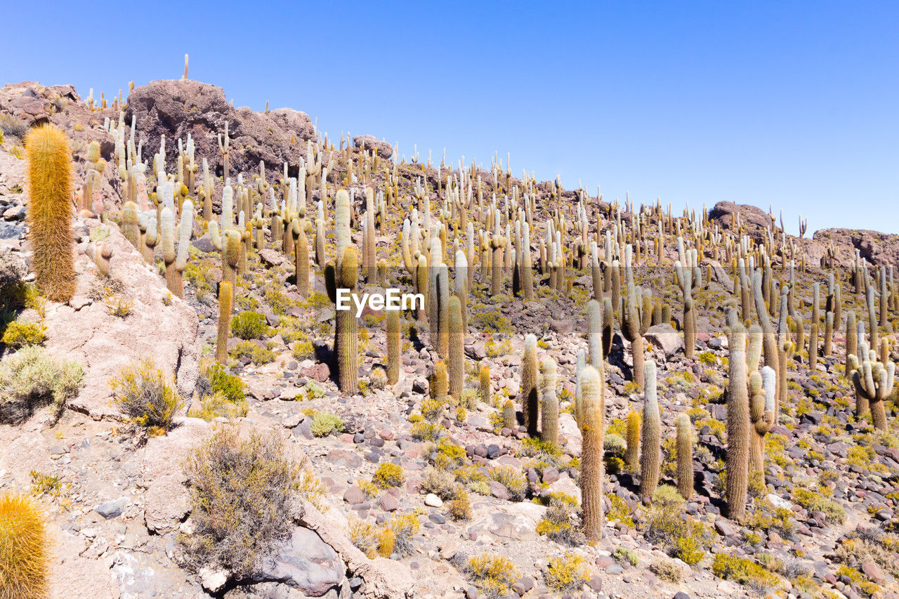 scenic view of rocky mountains against clear blue sky