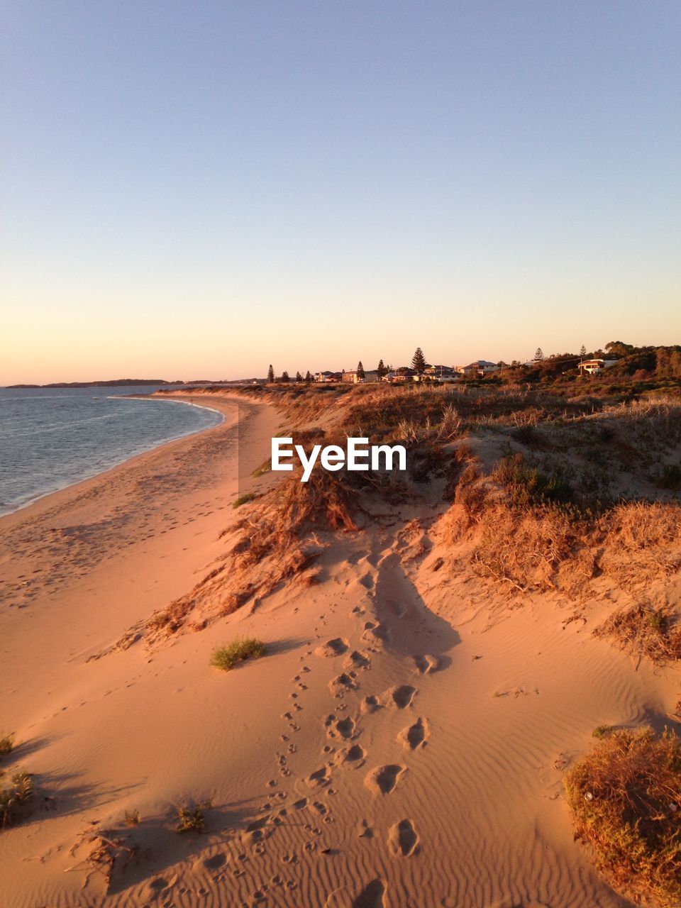 Scenic view of beach against clear sky