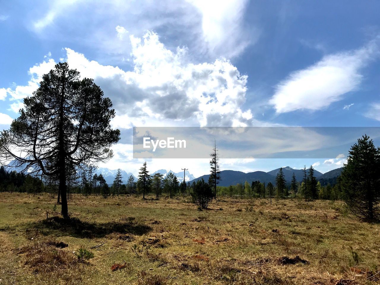 SCENIC VIEW OF LAND AGAINST SKY