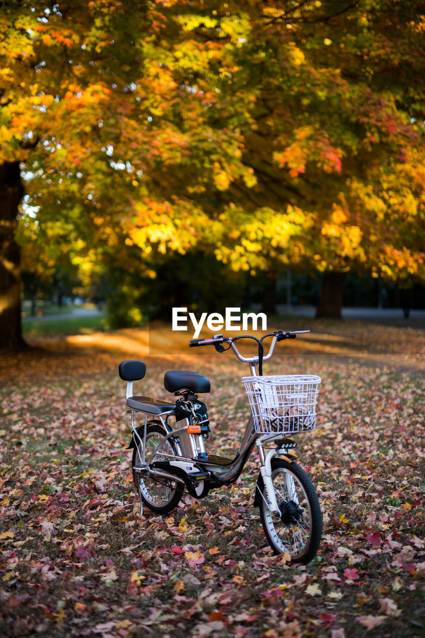 Bicycle parked on footpath during autumn