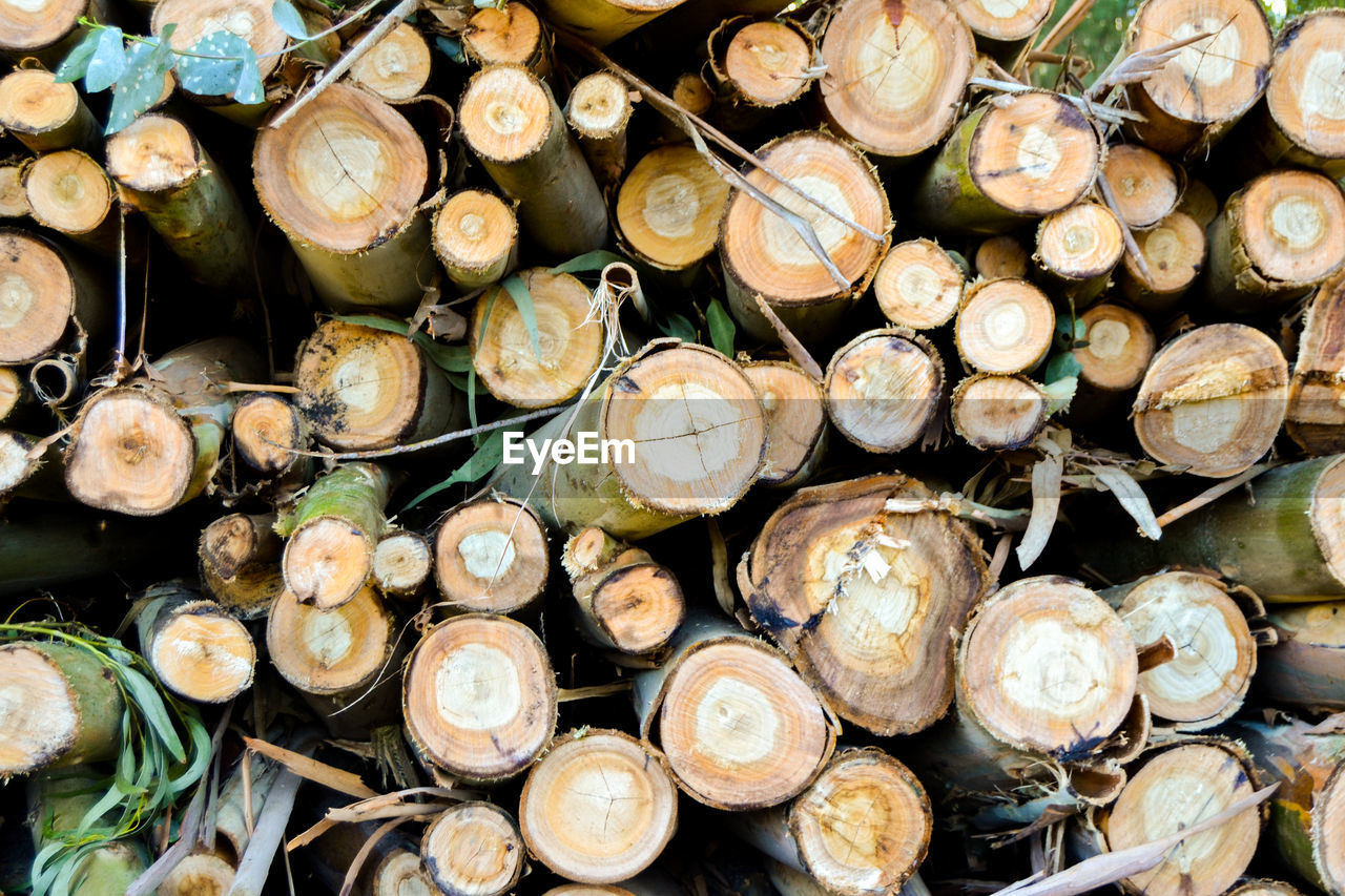 FULL FRAME SHOT OF LOGS