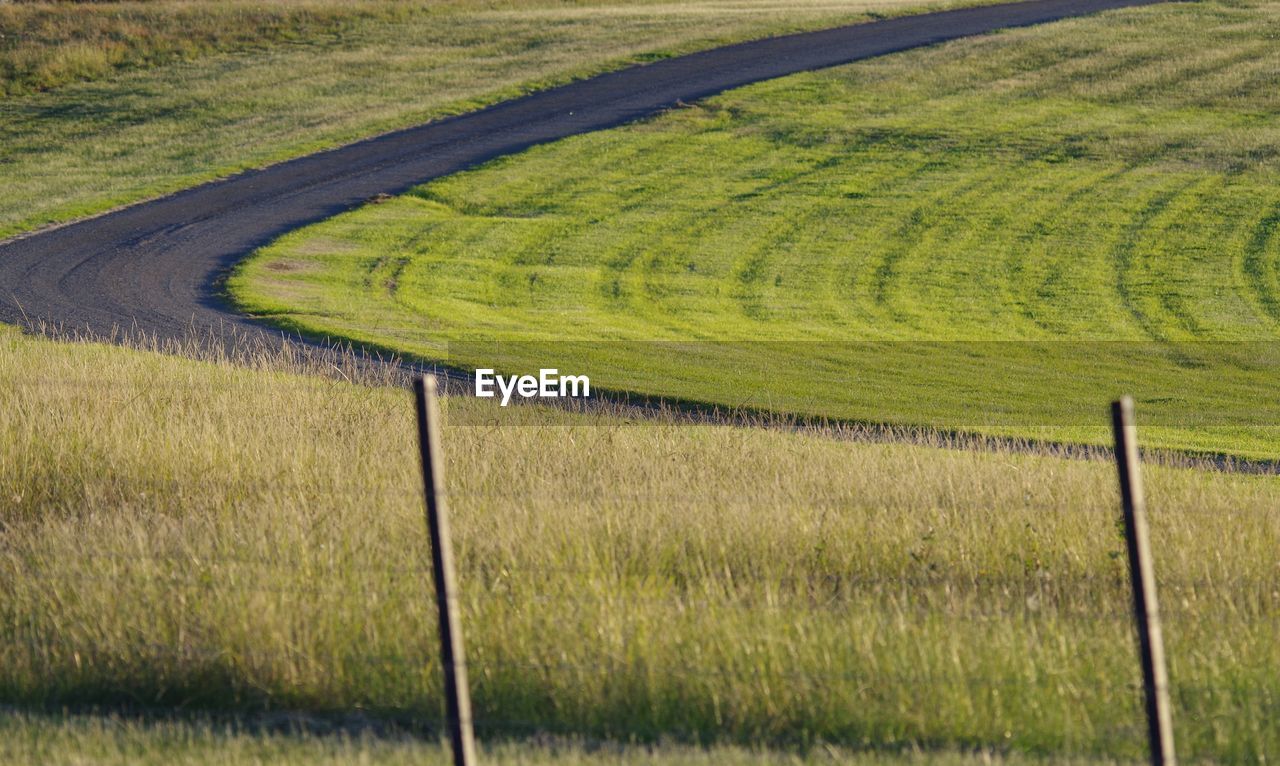Scenic view of agricultural field