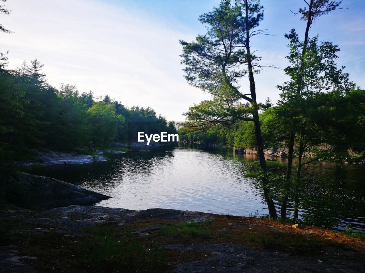 RIVER FLOWING AMIDST TREES AGAINST SKY