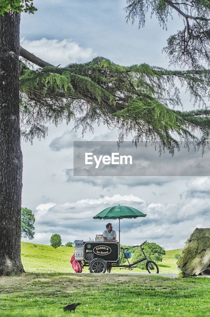 SCENIC VIEW OF TREE ON FIELD AGAINST SKY