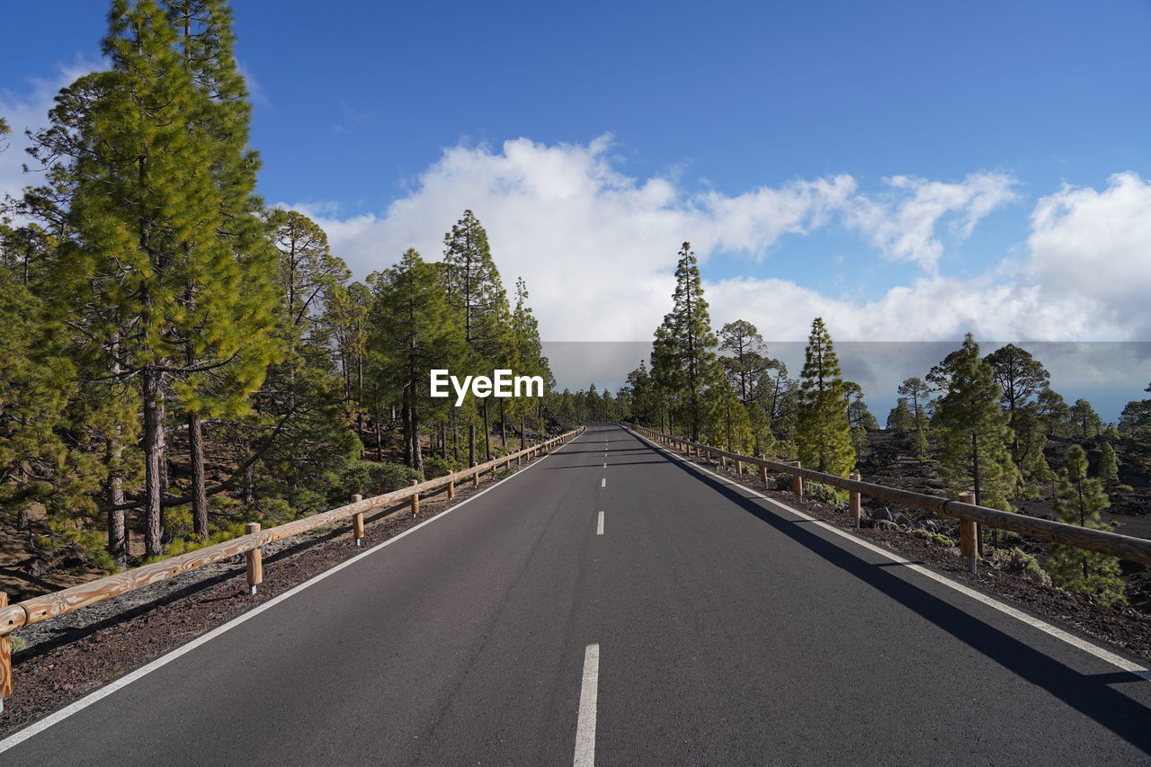 EMPTY ROAD BY TREES AGAINST SKY