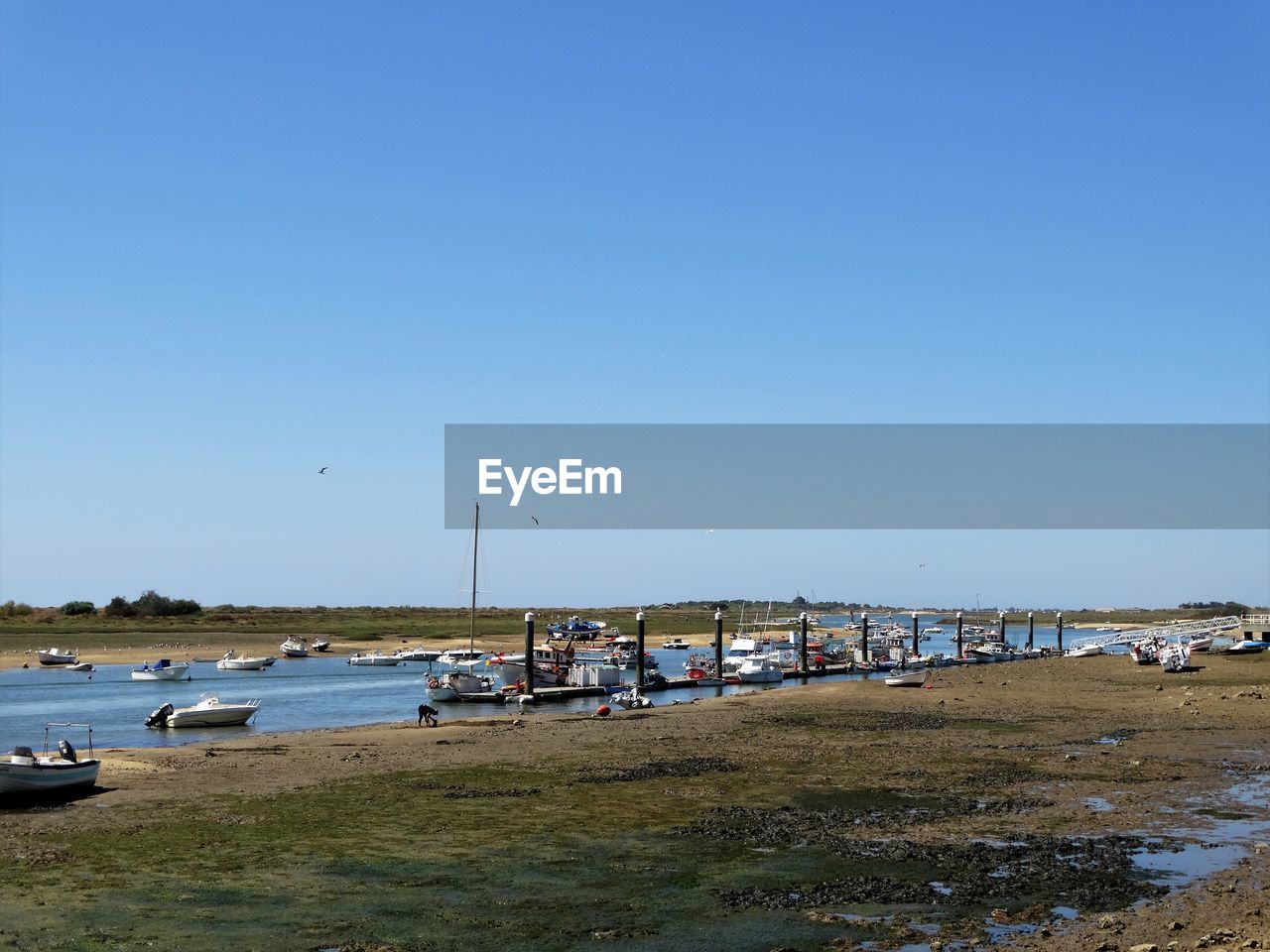 BOATS MOORED ON BEACH AGAINST CLEAR BLUE SKY