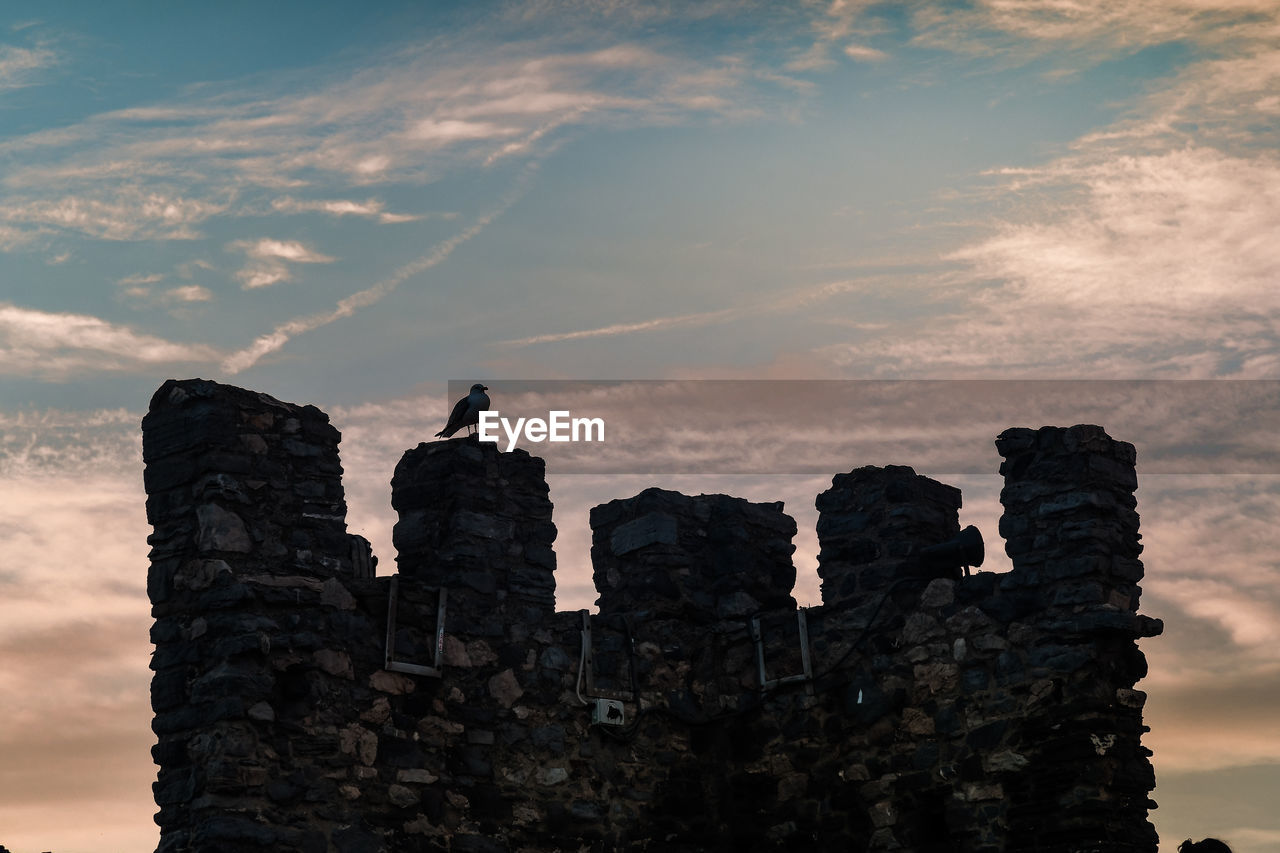 BIRDS PERCHING ON A STACK OF ROCK