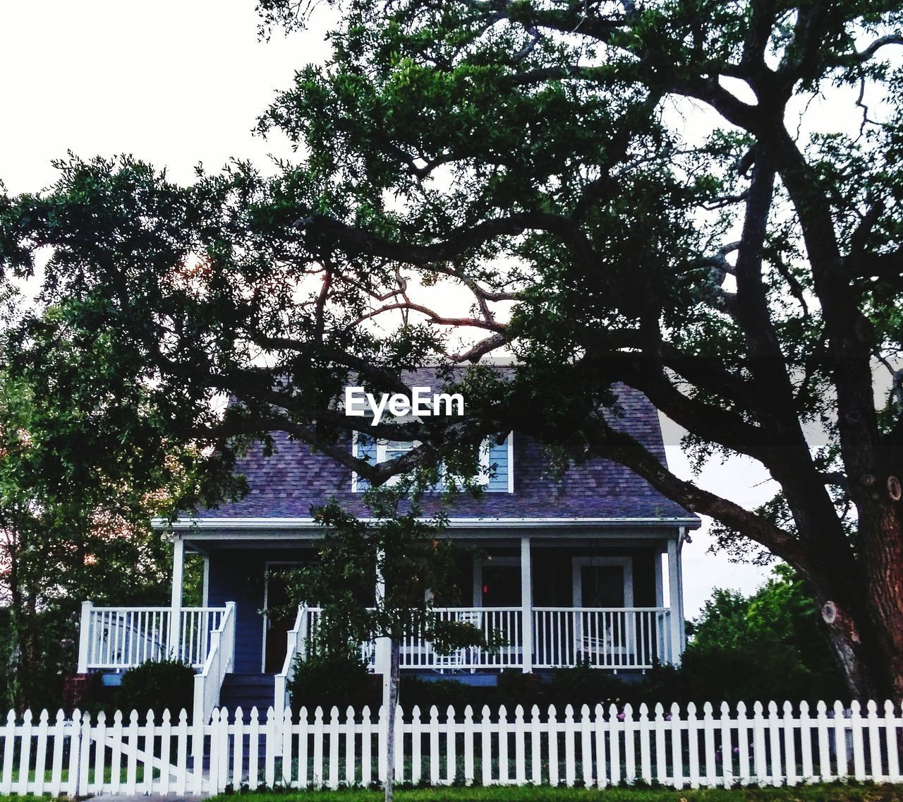 BUILDINGS WITH TREES IN BACKGROUND