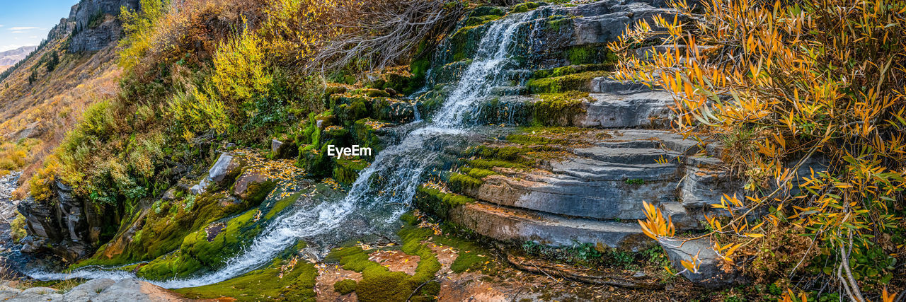 WATERFALL IN FOREST