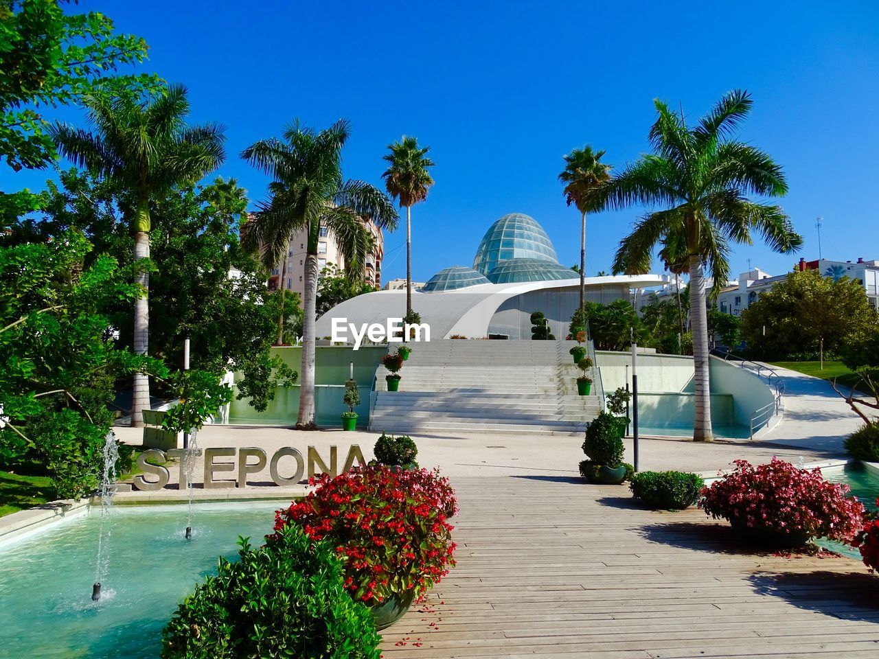 VIEW OF PLANTS BY SWIMMING POOL