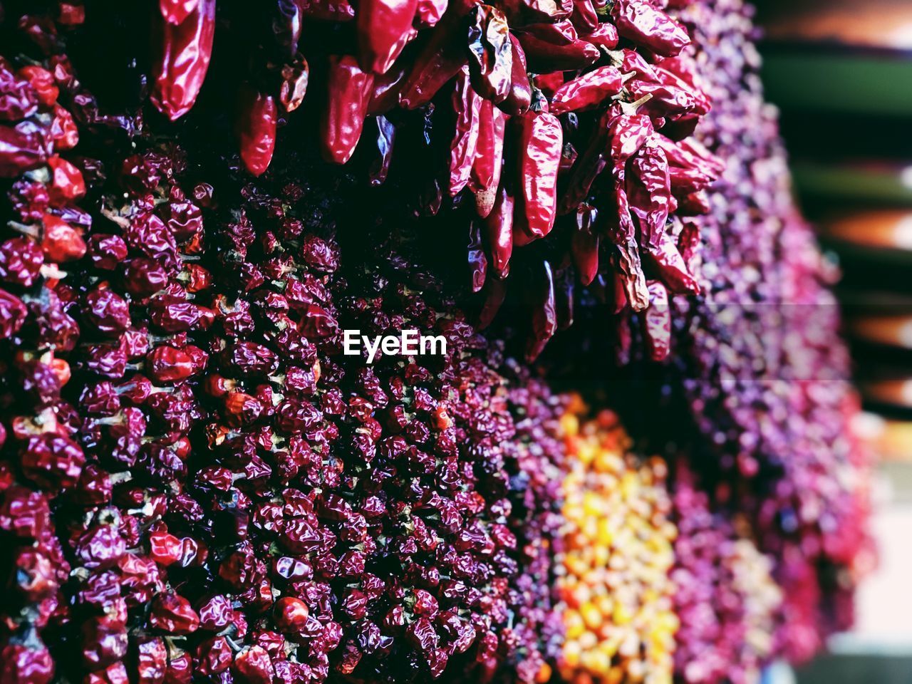 CLOSE-UP OF RED CHILI PEPPERS AT MARKET STALL