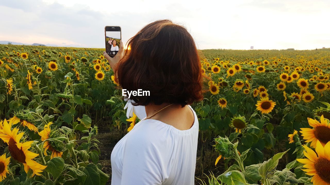 REAR VIEW OF WOMAN PHOTOGRAPHING WITH CAMERA ON FIELD