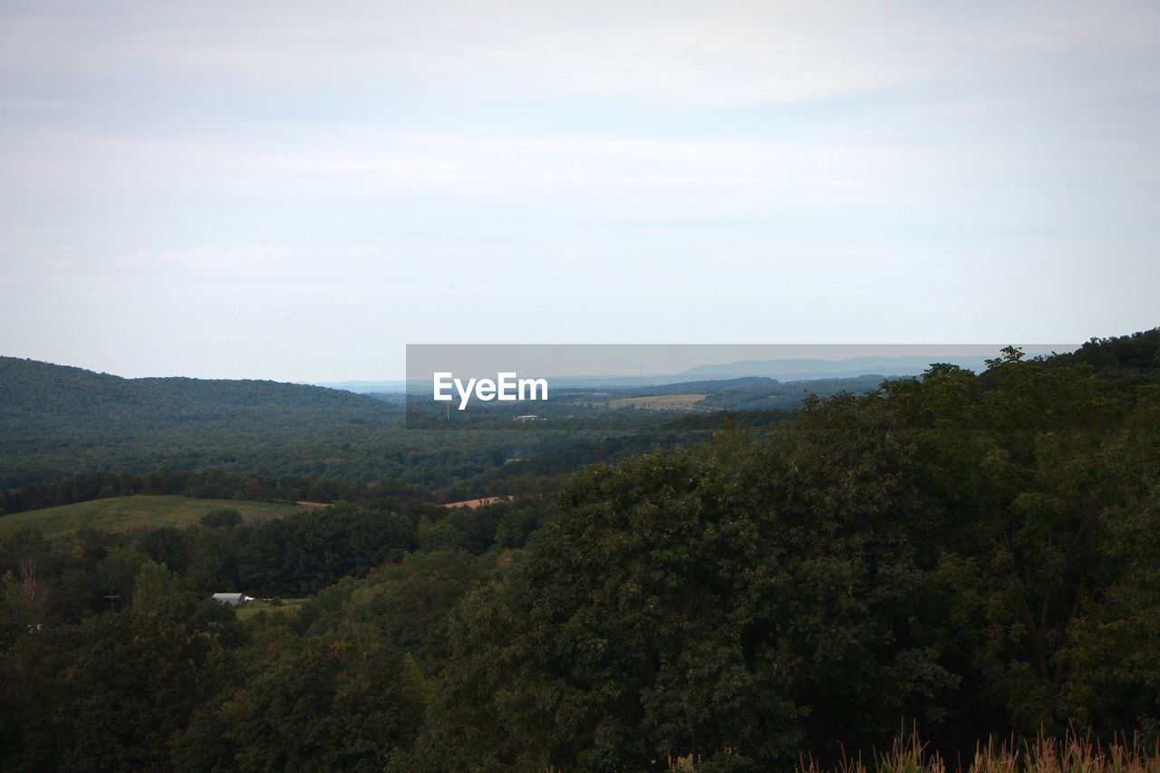 SCENIC VIEW OF GREEN MOUNTAINS