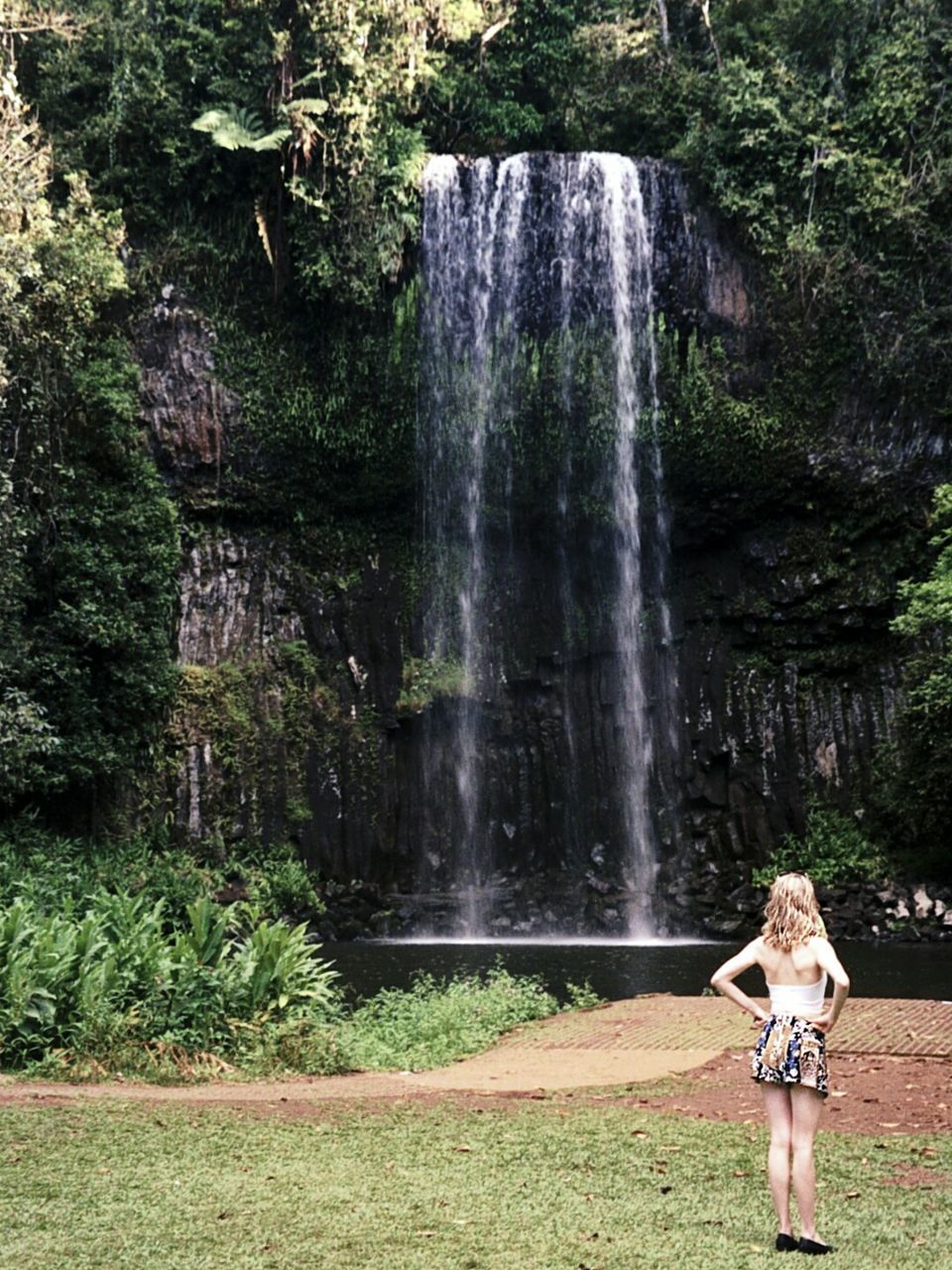 WATERFALL ALONG TREES