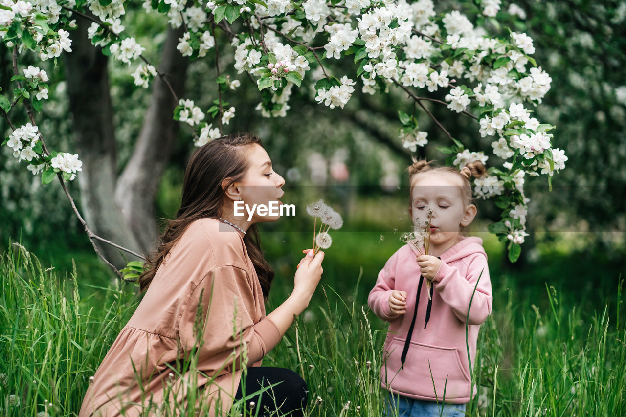Mother and daughter with dandelions blooming apple trees