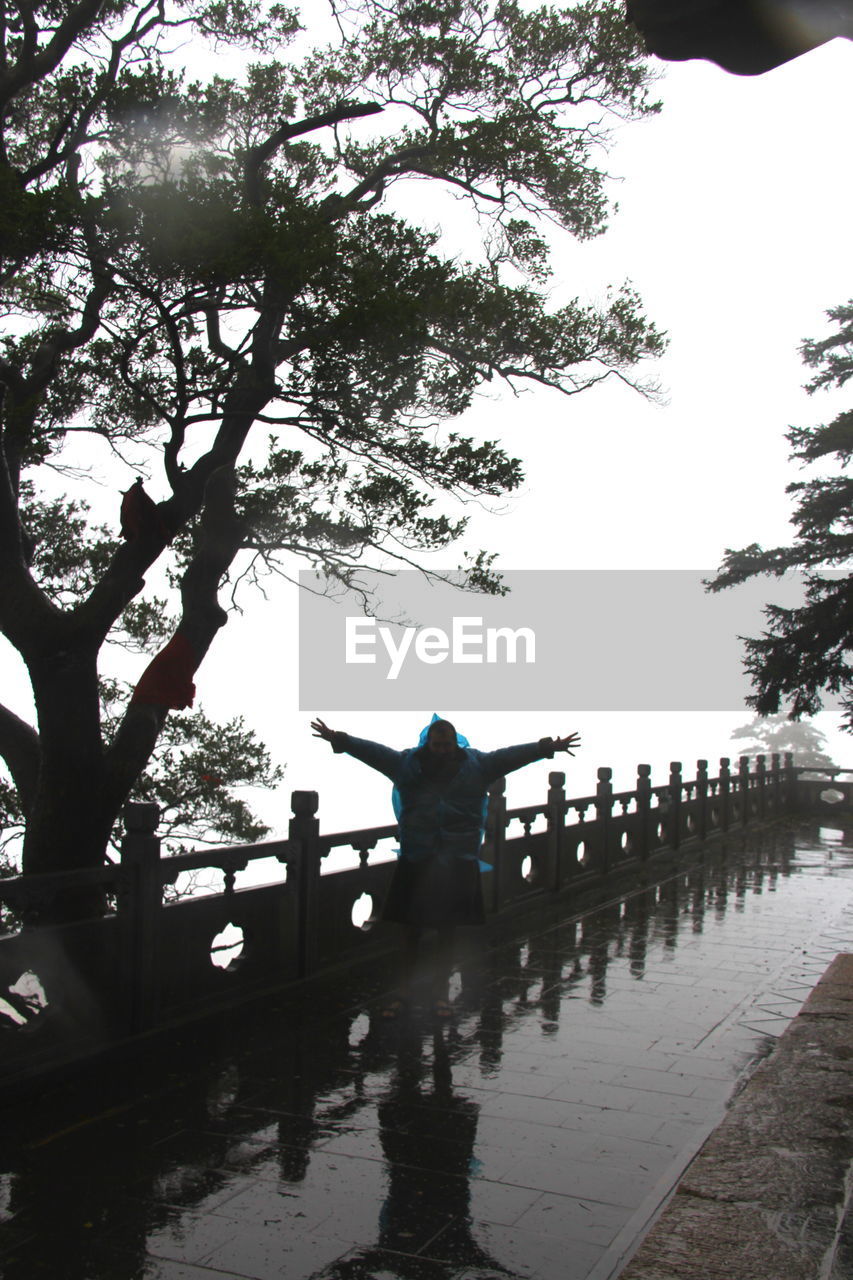 REFLECTION OF TREES ON WATER