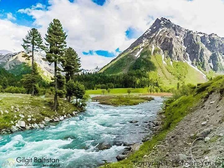 VIEW OF TREES ON MOUNTAIN AGAINST CLOUDY SKY