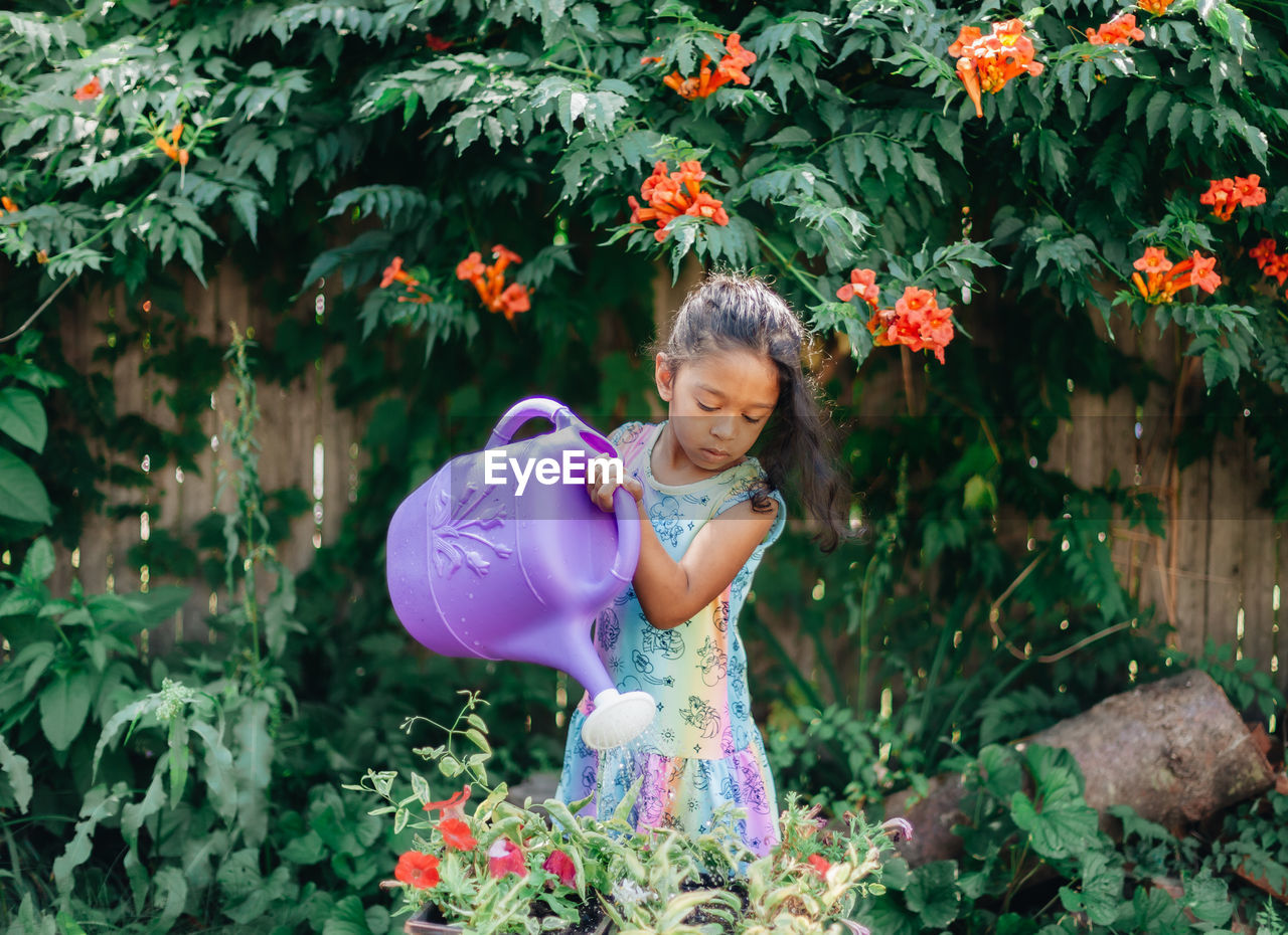 Diverse mixed race pre school girl outdoors during summer watering plants in garden