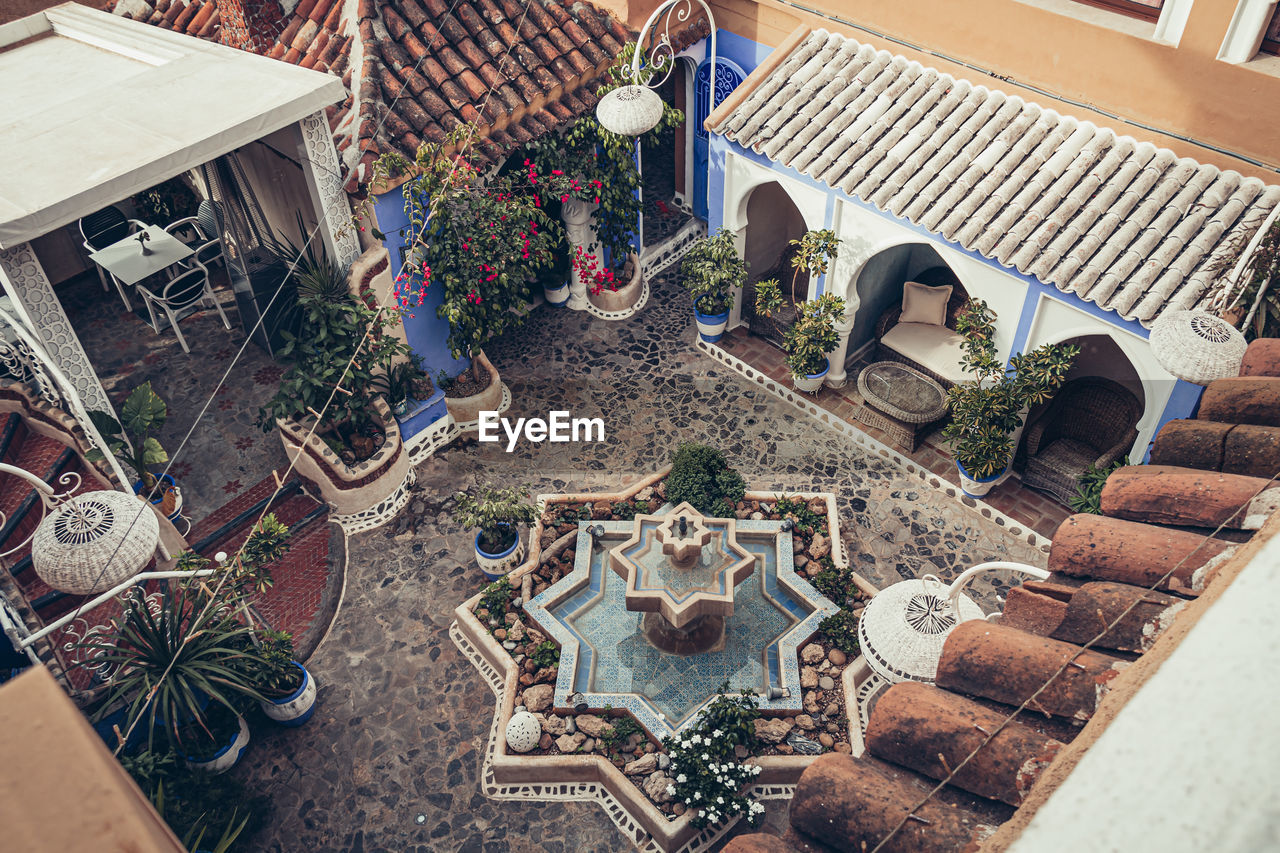 HIGH ANGLE VIEW OF POTTED PLANTS ON TABLE