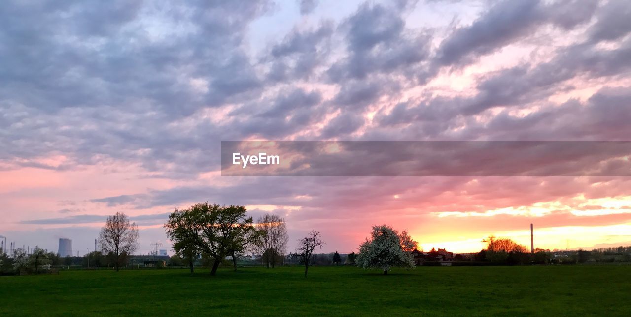 TREES ON LANDSCAPE AGAINST SKY