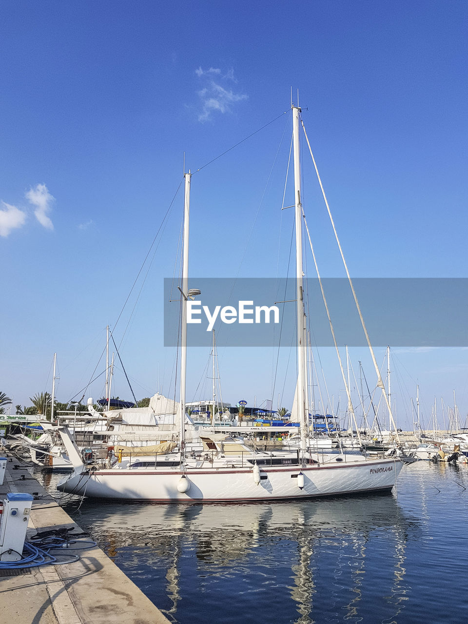 Sailboats in marina