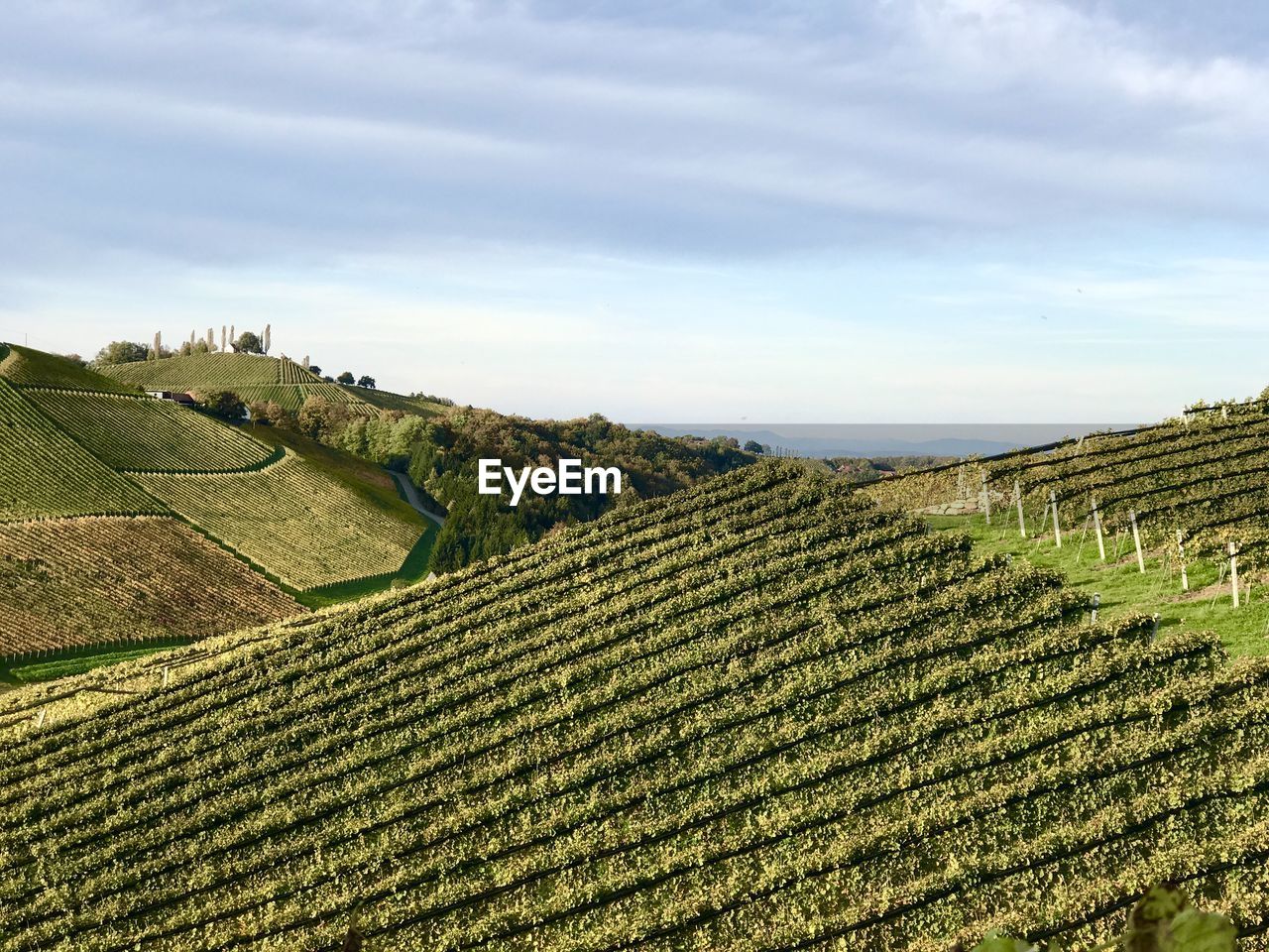 Scenic view of agricultural field against sky / making wine in austrian südsteiermark