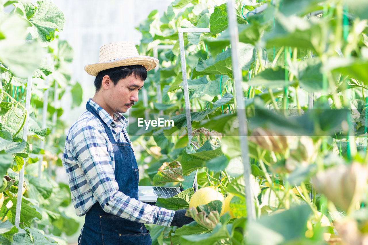 side view of young man standing amidst plants