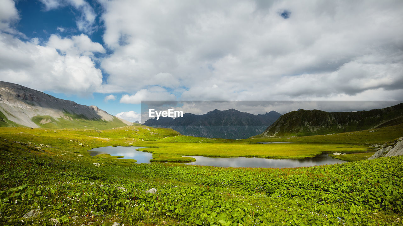 Mountain lake in summer with a flower meadow and mountains in the background. 