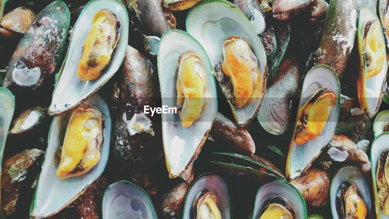 Full frame shot of mussels for sale at fish market