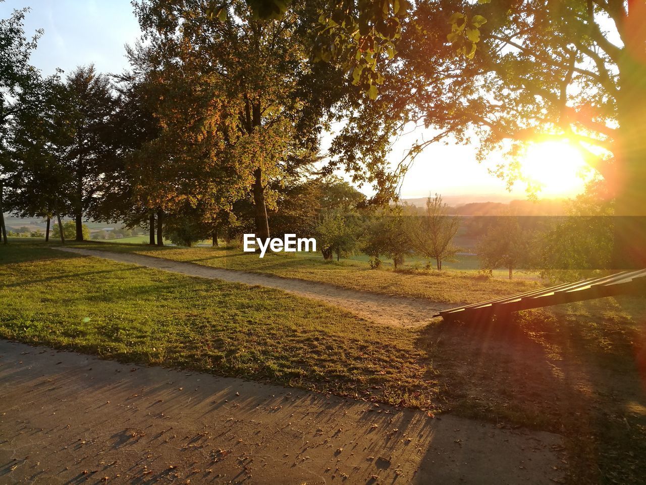 VIEW OF PARK ON SUNNY DAY