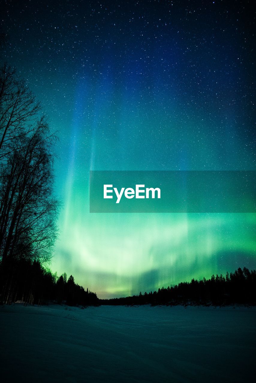 Scenic view of silhouette trees against sky at night