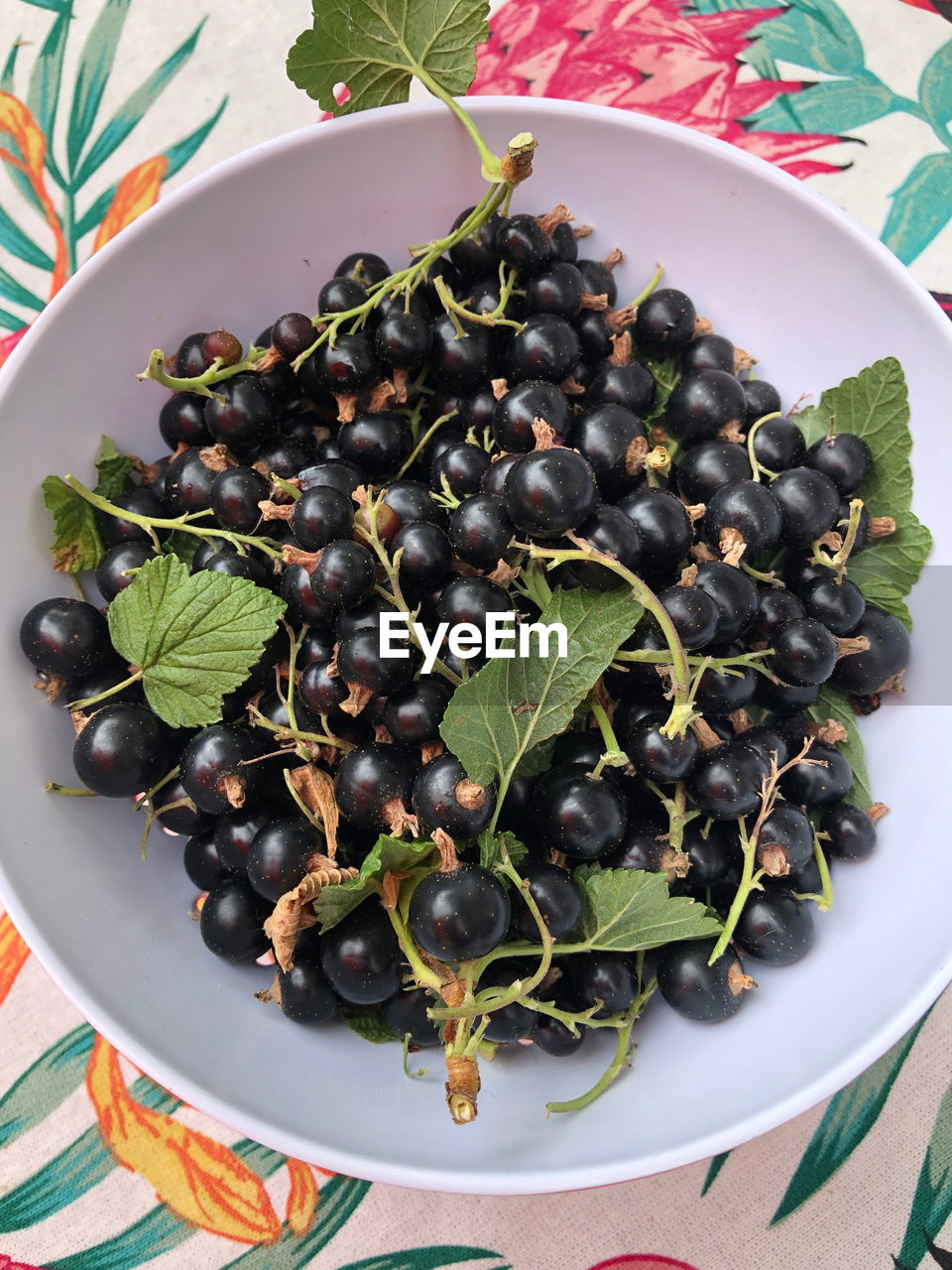 HIGH ANGLE VIEW OF FRUITS IN PLATE