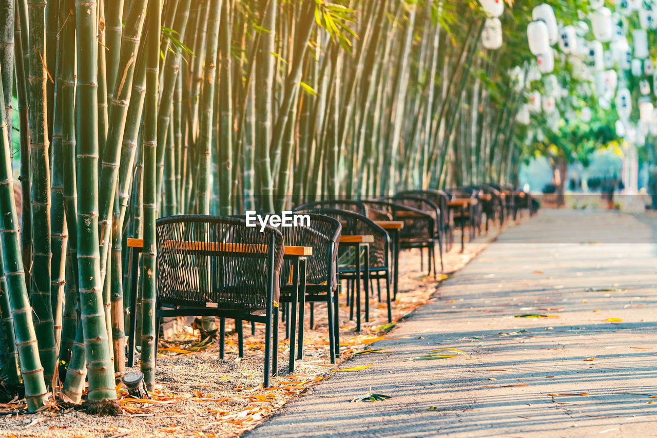 EMPTY CHAIRS IN PARK