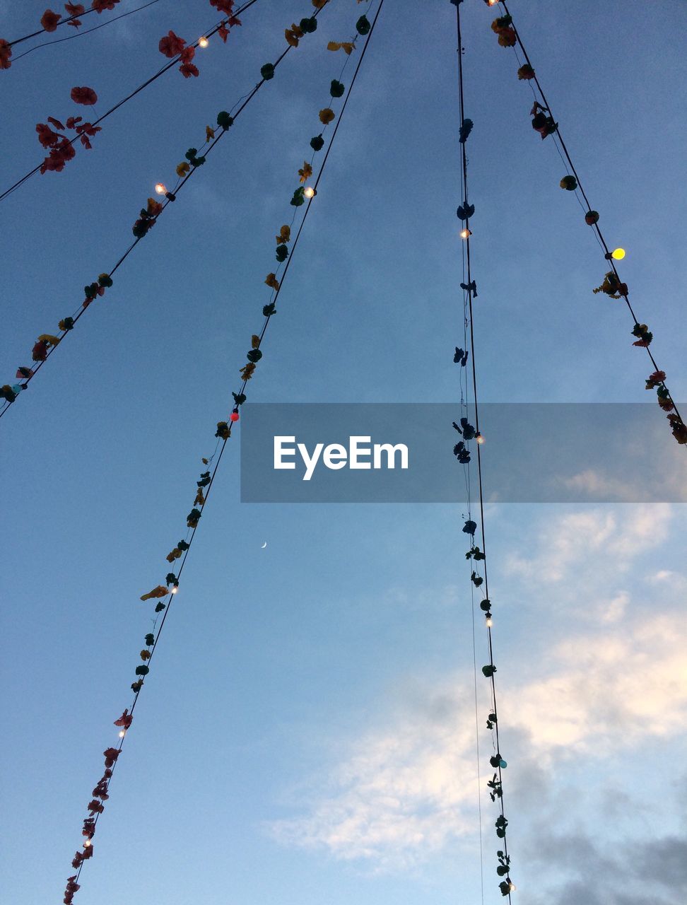 Low angle view of light bulbs outdoors