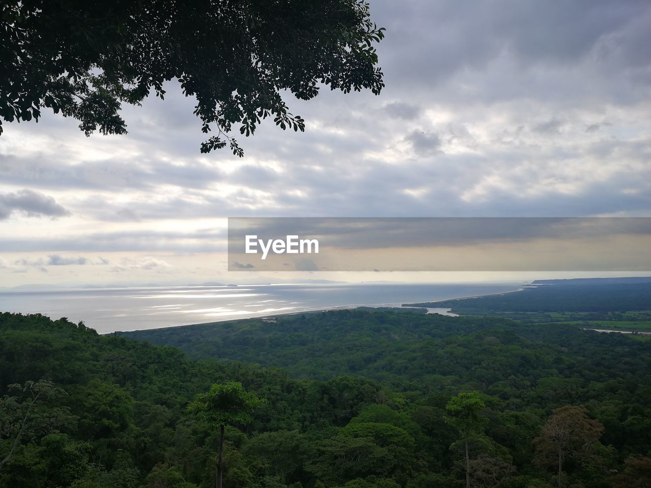 SCENIC VIEW OF TREE BY MOUNTAINS AGAINST SKY