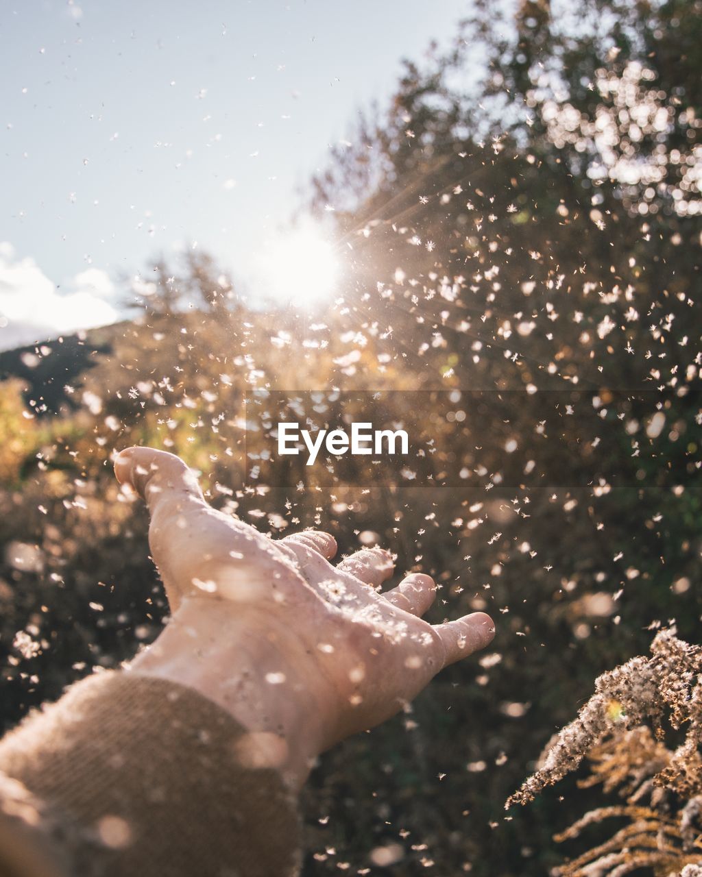 Close-up of hand splashing water